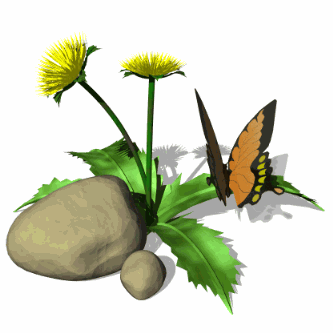 animated dandilion big butterfly